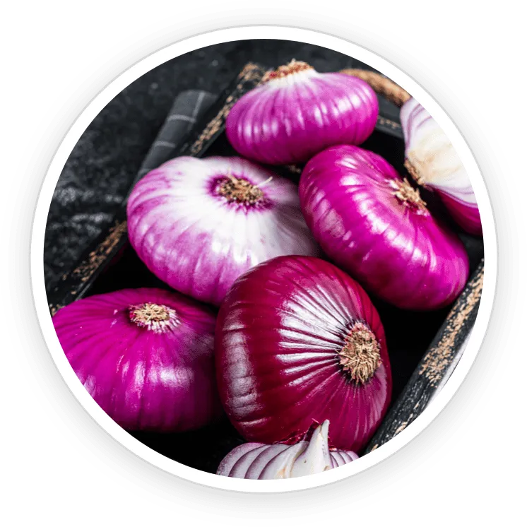 NanoDefense Pro ingredient 