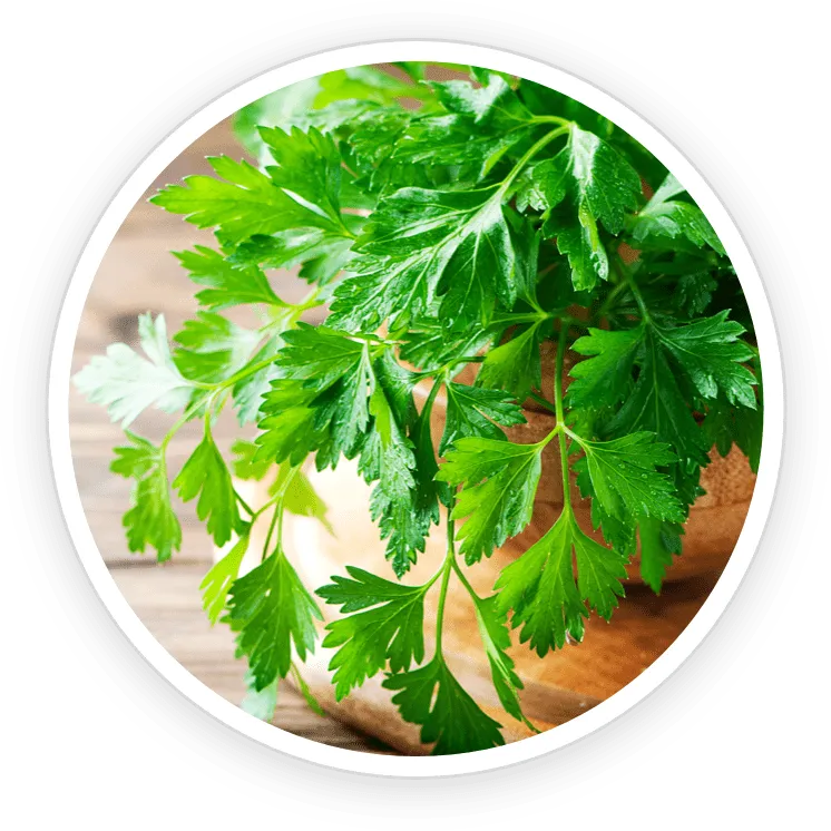 NanoDefense Pro ingredient